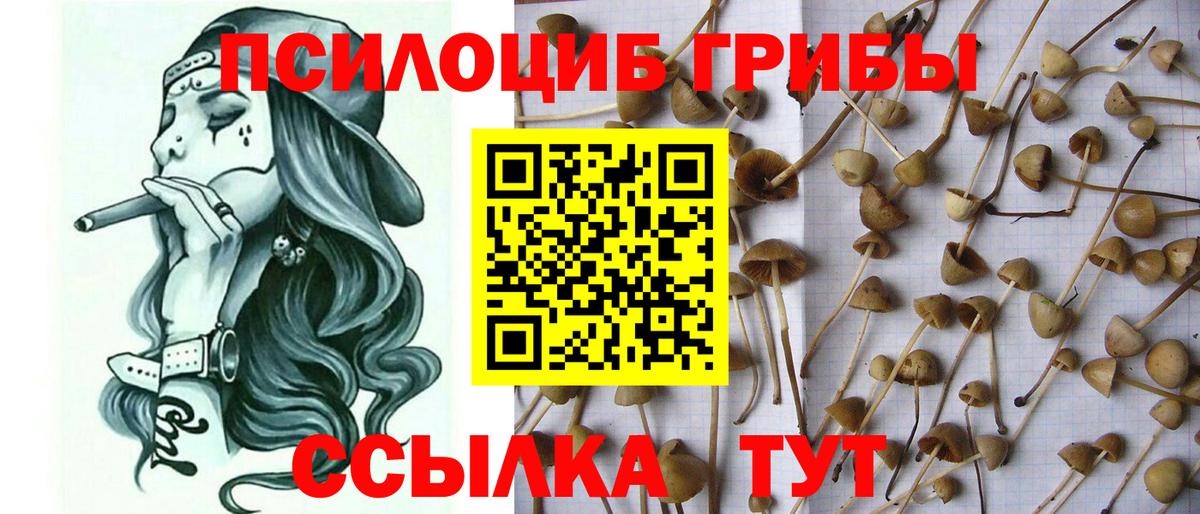 Псилоцибиновые грибы мицелий  Галлюциногенные грибы мухоморы  Вход с VPN  Калач-на-Дону 